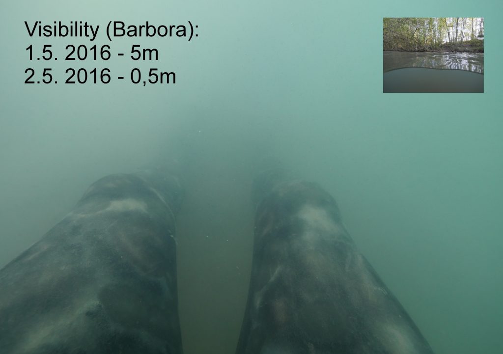 Barbora-pollution-5m-to-50cm-overnight