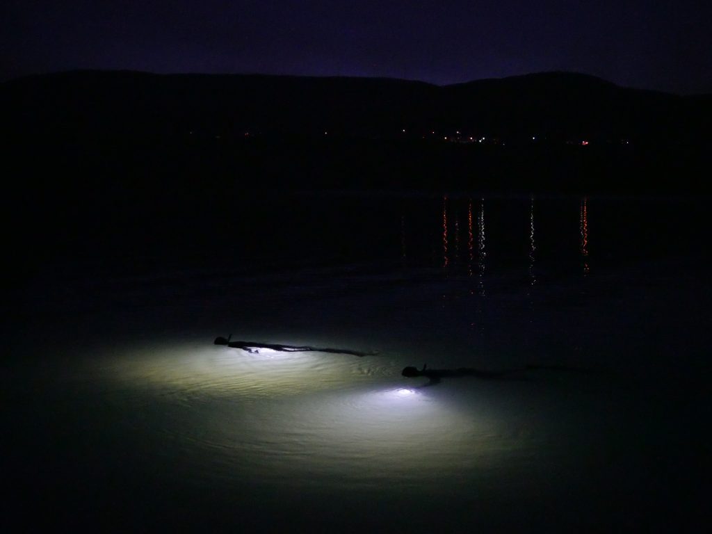 night freediving - noční potápění na nádech