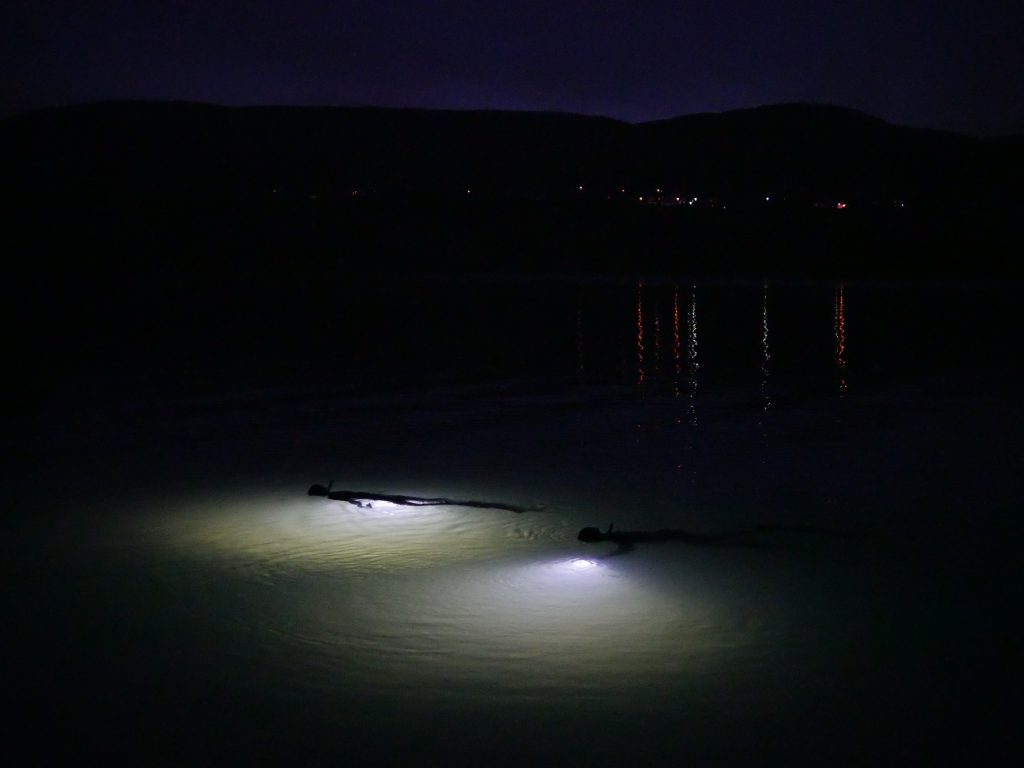 night freediving - noční potápění na nádech