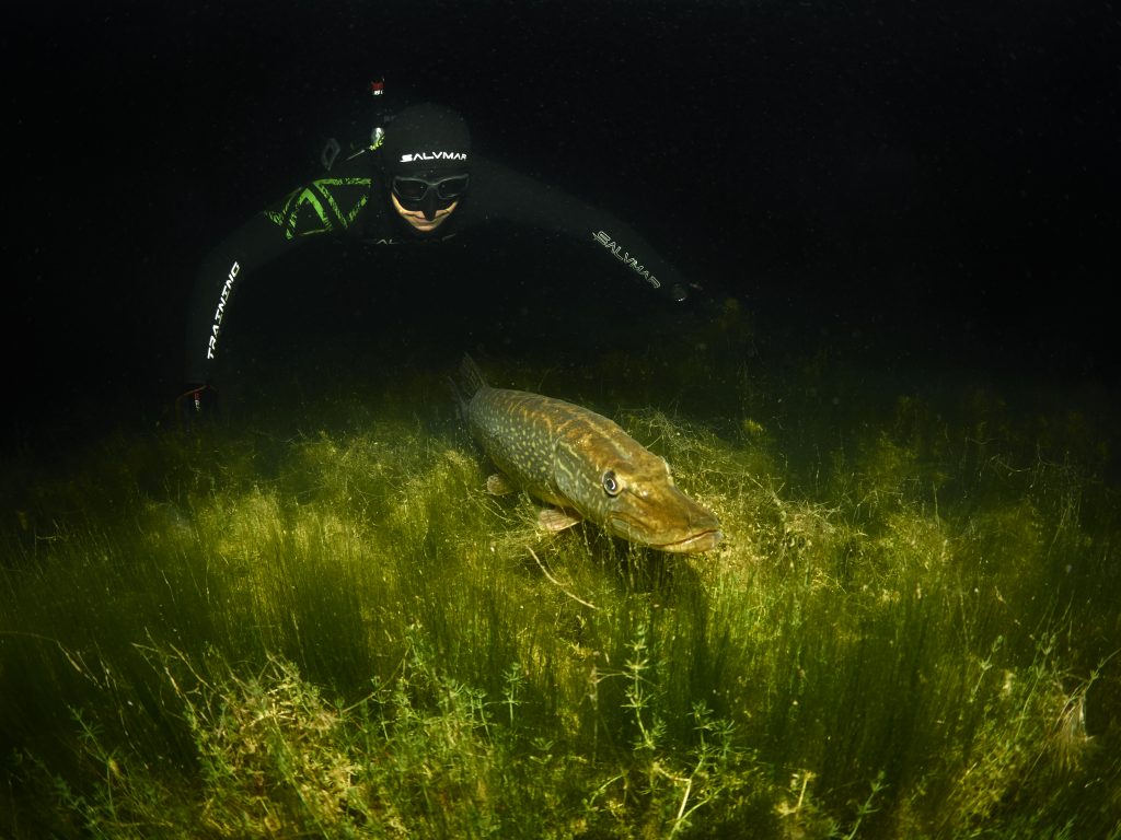 Night freediving (noční potápění na nádech)