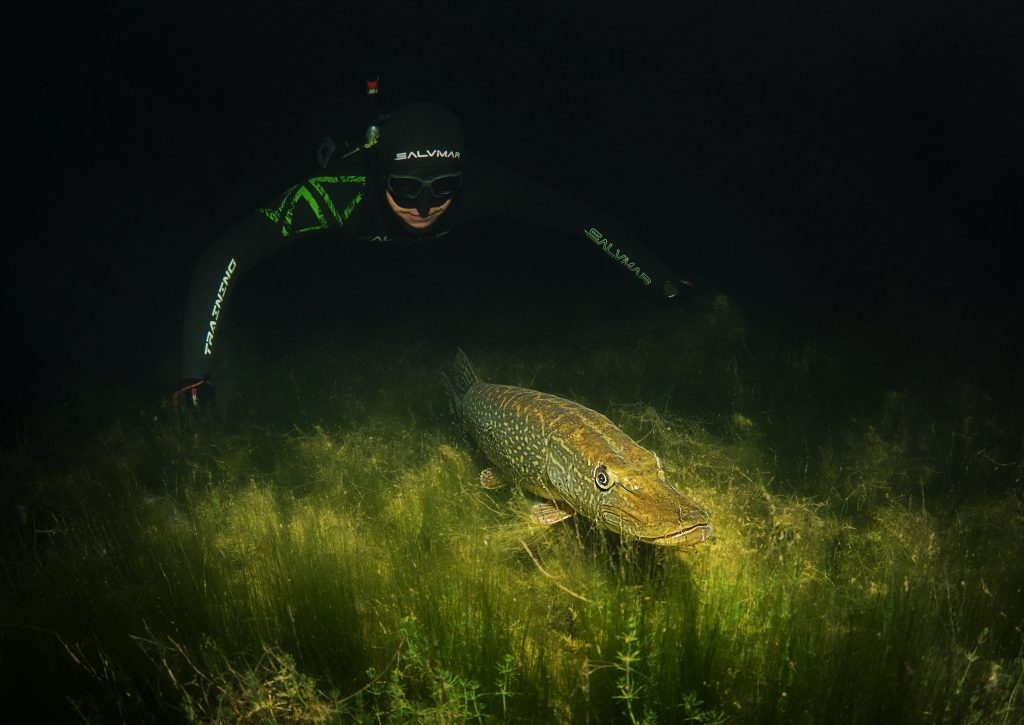 Night freediving (noční potápění na nádech)