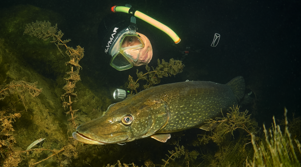 night freediving - noční potápění na nádech