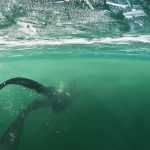 Ice Freediving - Potápění na nádech pod ledem