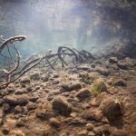 Freediving Barbora