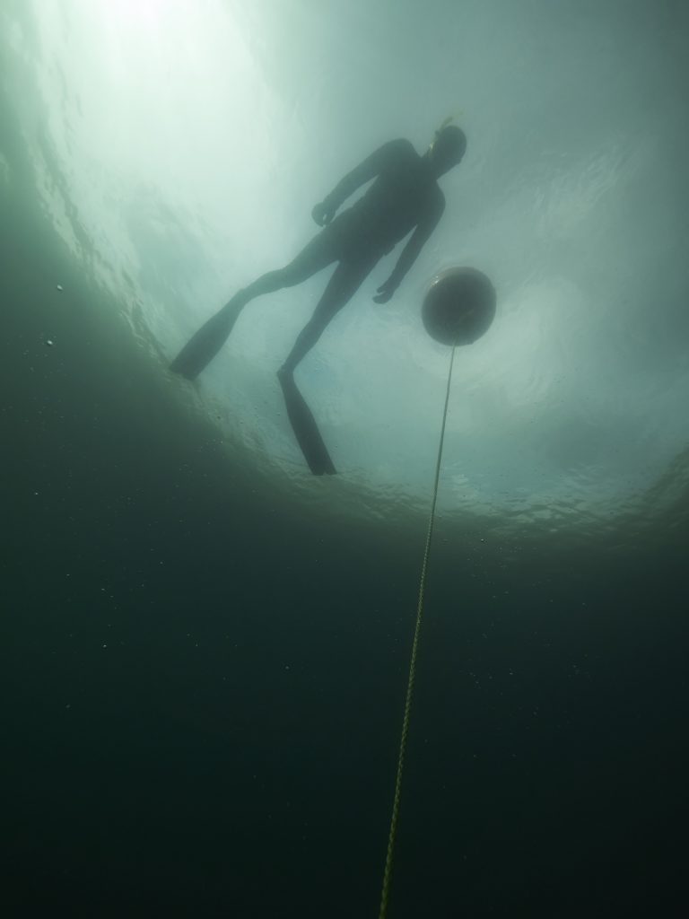 Freediving Horka