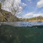 Freediving Horka