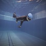 Freediving bazén pool train