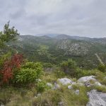 Rača Cave Lastovo