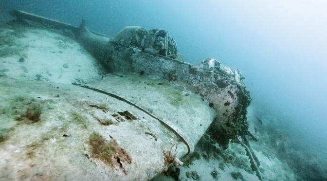 Junkers Ju-87 Stuka freediving