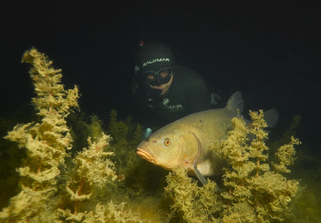 Freediving Milada