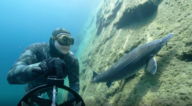 Lobejun freediving