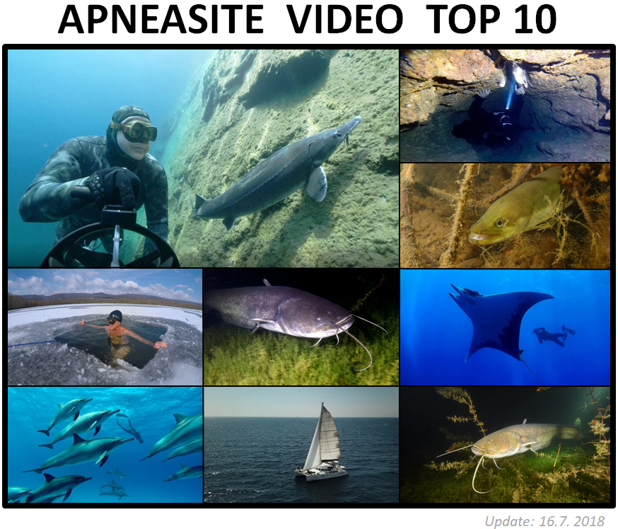 top 10 freediving video