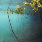 Hemmoor Kreidesee Freediving