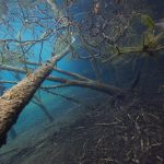 Hemmoor Kreidesee Freediving