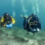 hemmoor kreidesee scuba group (freediving)