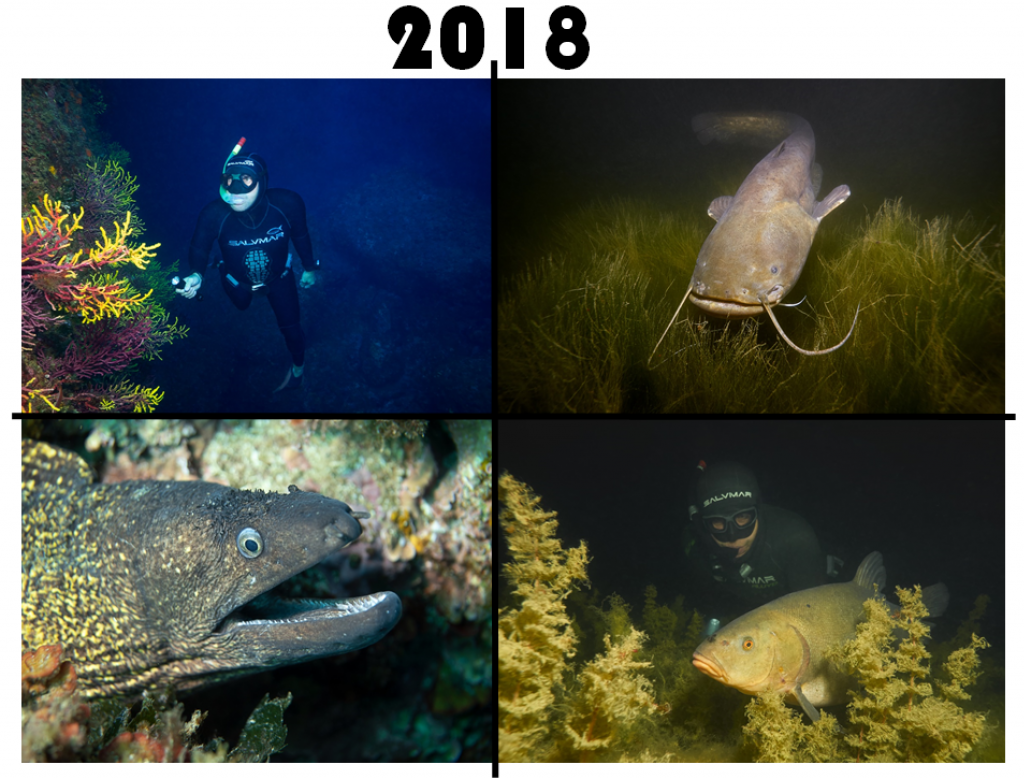 UW FOTO MOMENTS 2018 Freediving