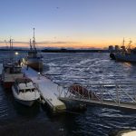 Andenes Norway Freediving