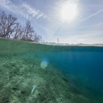 Freediving Veľké Košariská Dive