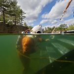 Retro Diving Bořená Hora Freediving HDS Memoriál Jiřího Trpíka