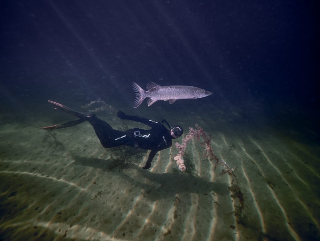 Traun / Traunfall - freediving 