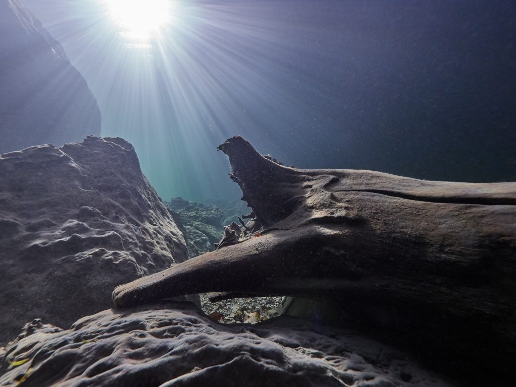 Traun / Traunfall - freediving 