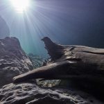 Traun / Traunfall - freediving