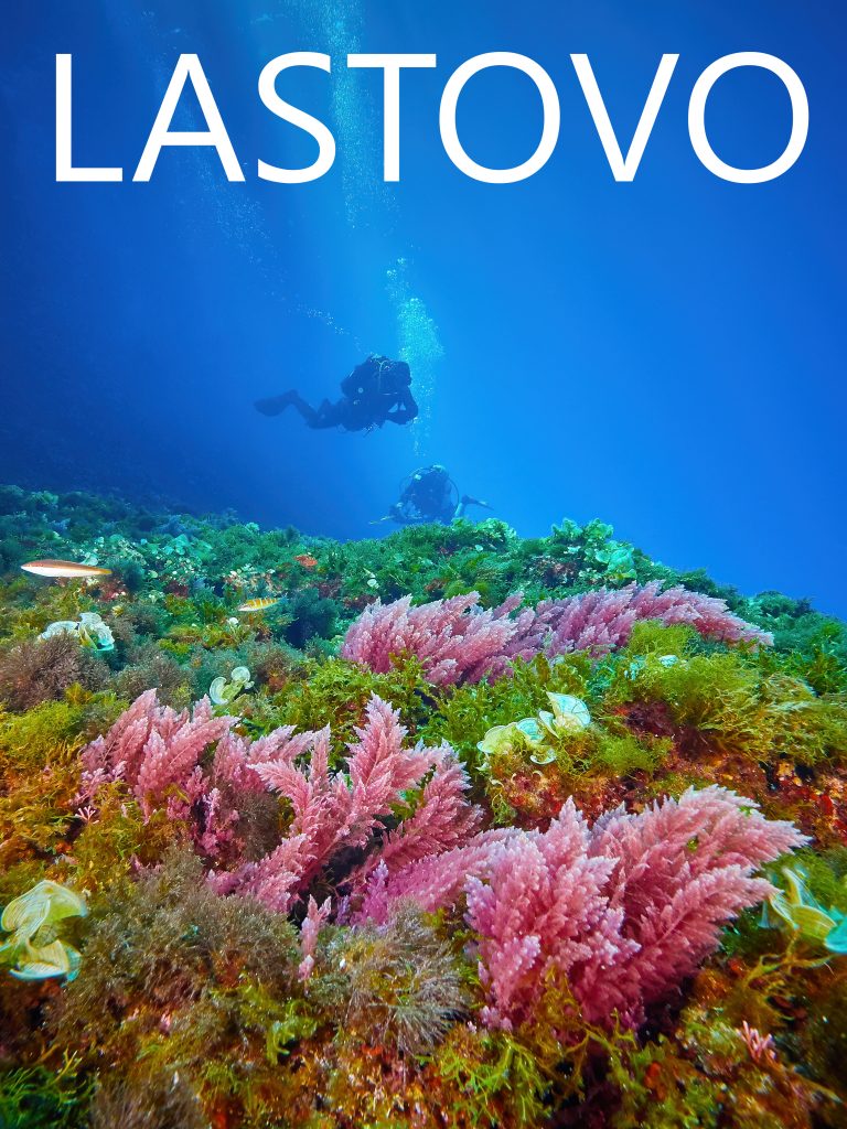 Lastovo Diving freediving 