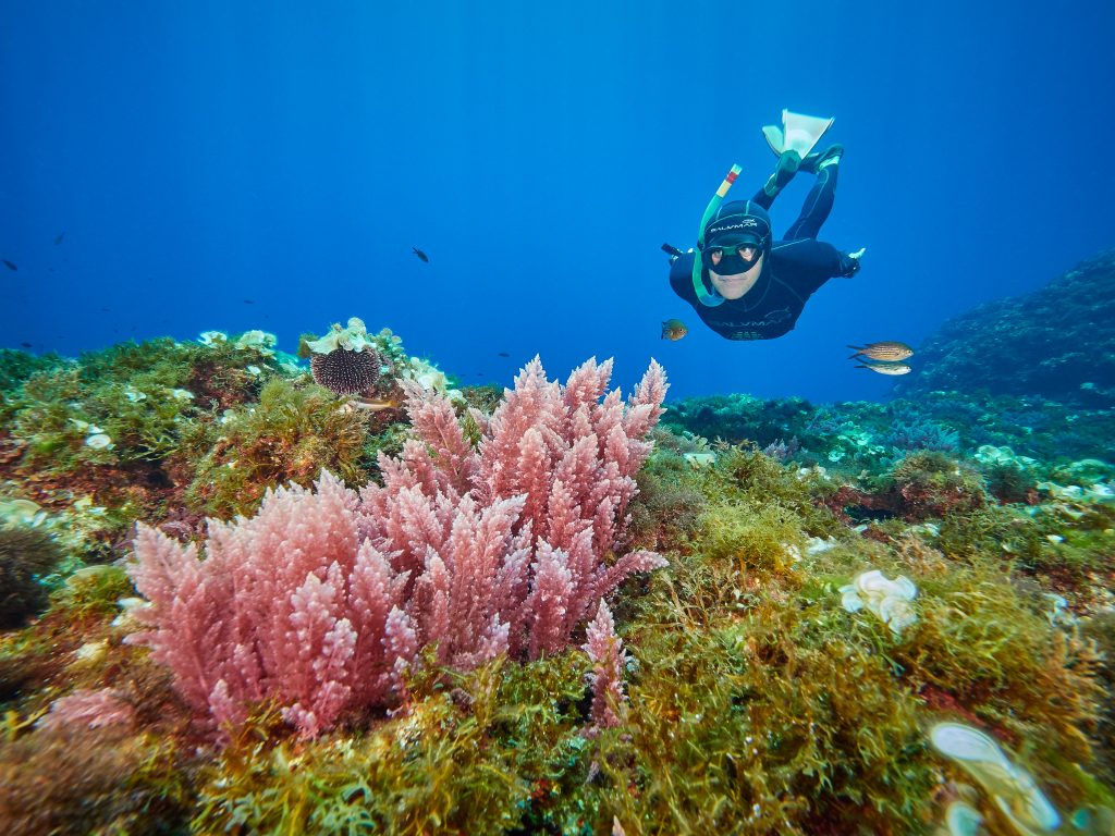 Lastovo croatia diving freediving struga luighthouse