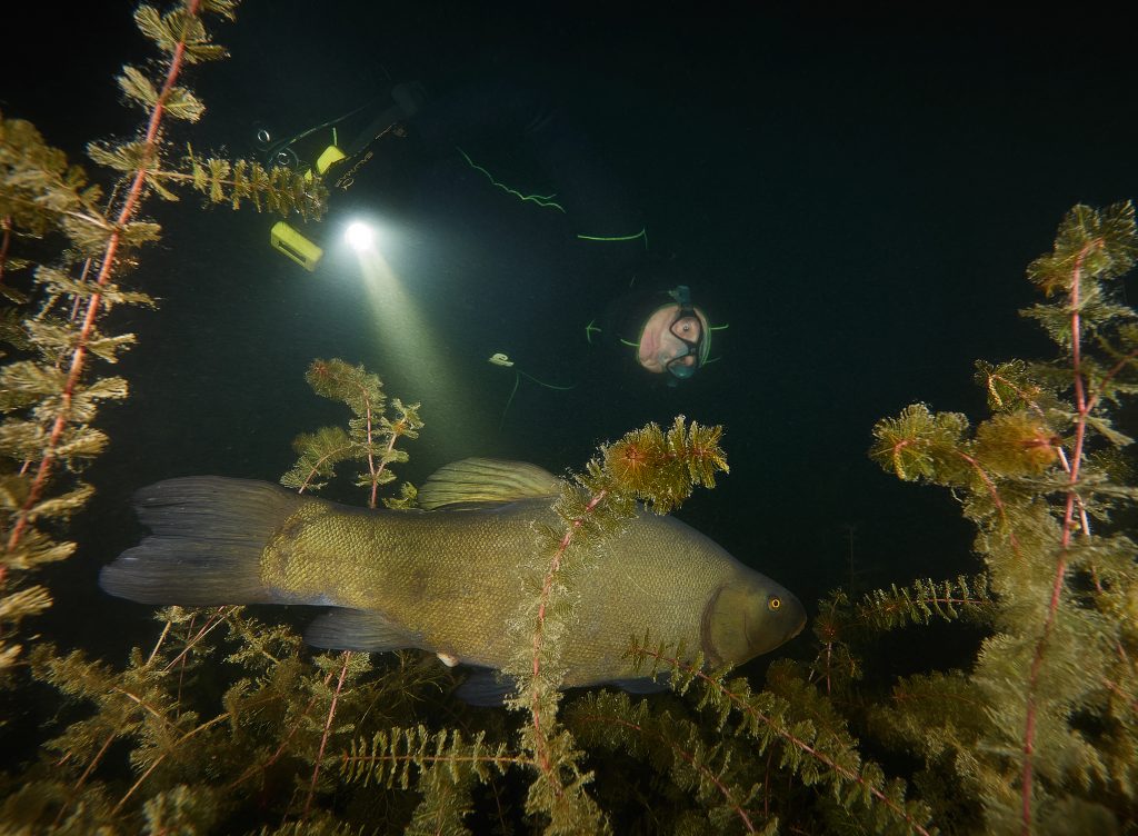 Milada apnea weekned apneaman freediving noční