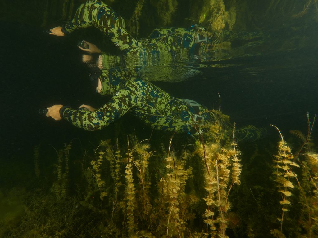 Milada freediving diving night silurus glanis esox