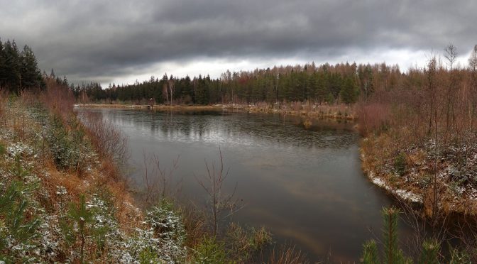 Liščí rybník – 26.12. 2020