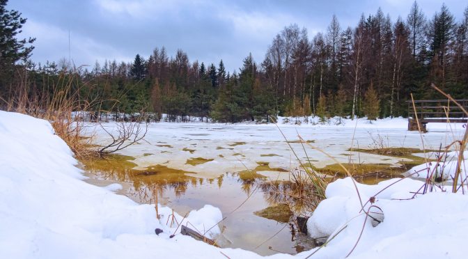 Oborský rybník – 4.2. 2021