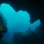 Illes Medes cave freediving dofi