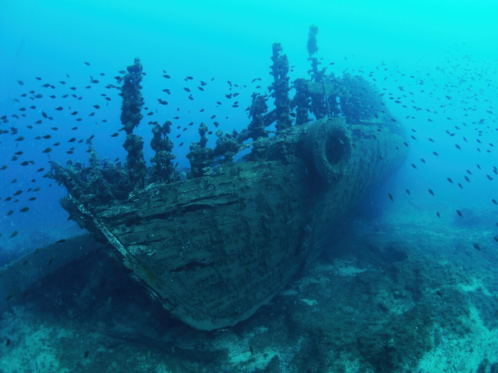 Ribolovac wreck vrak šolta freediving catamaran yacht