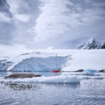 Port Lockroy Harbor Antaarktida Antarctica GoWest Global Surveyor