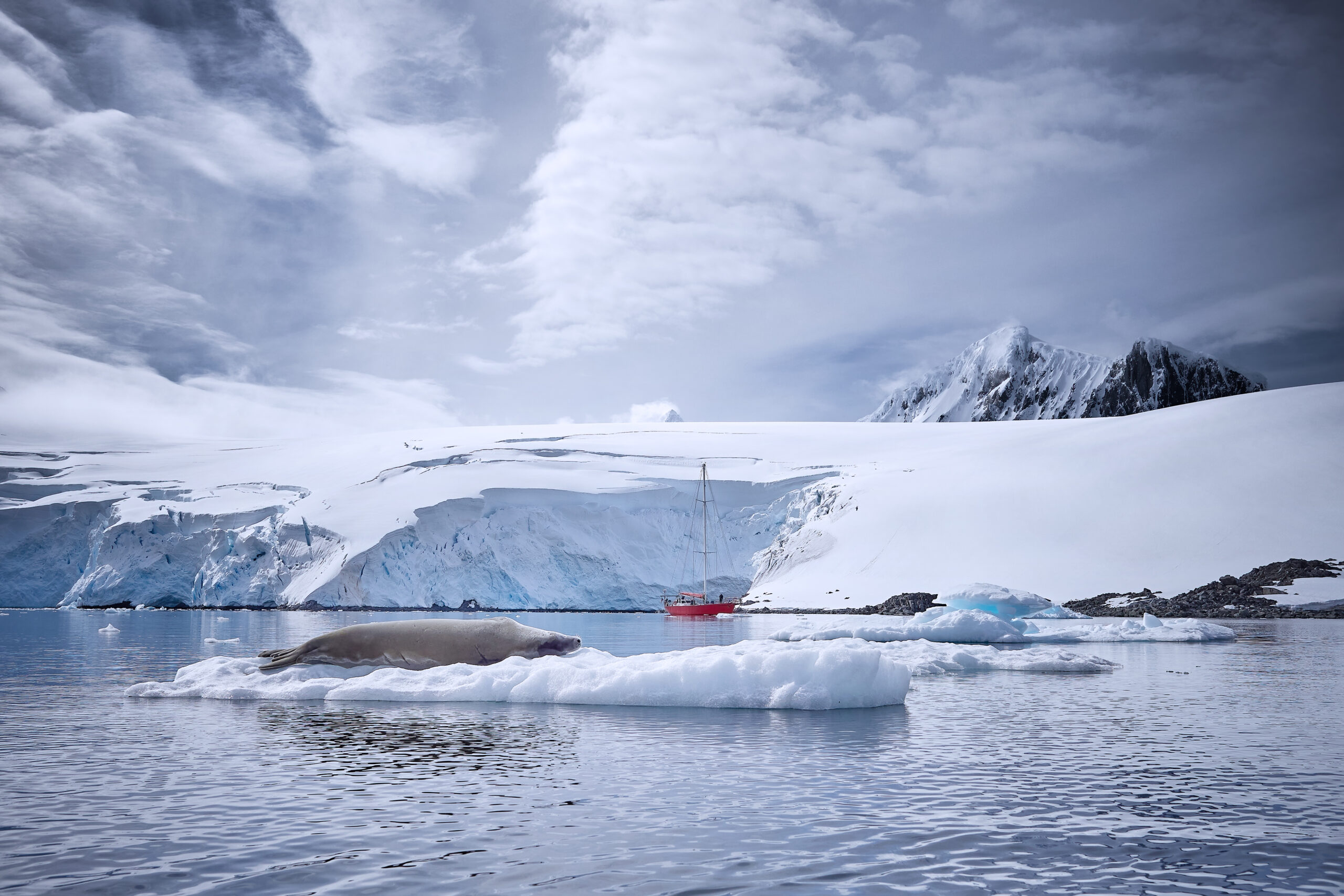 Port Lockroy Harbor Antaarktida Antarctica GoWest Global Surveyor