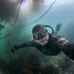 beagle channel ushuaia diving freediving kelp los lobos