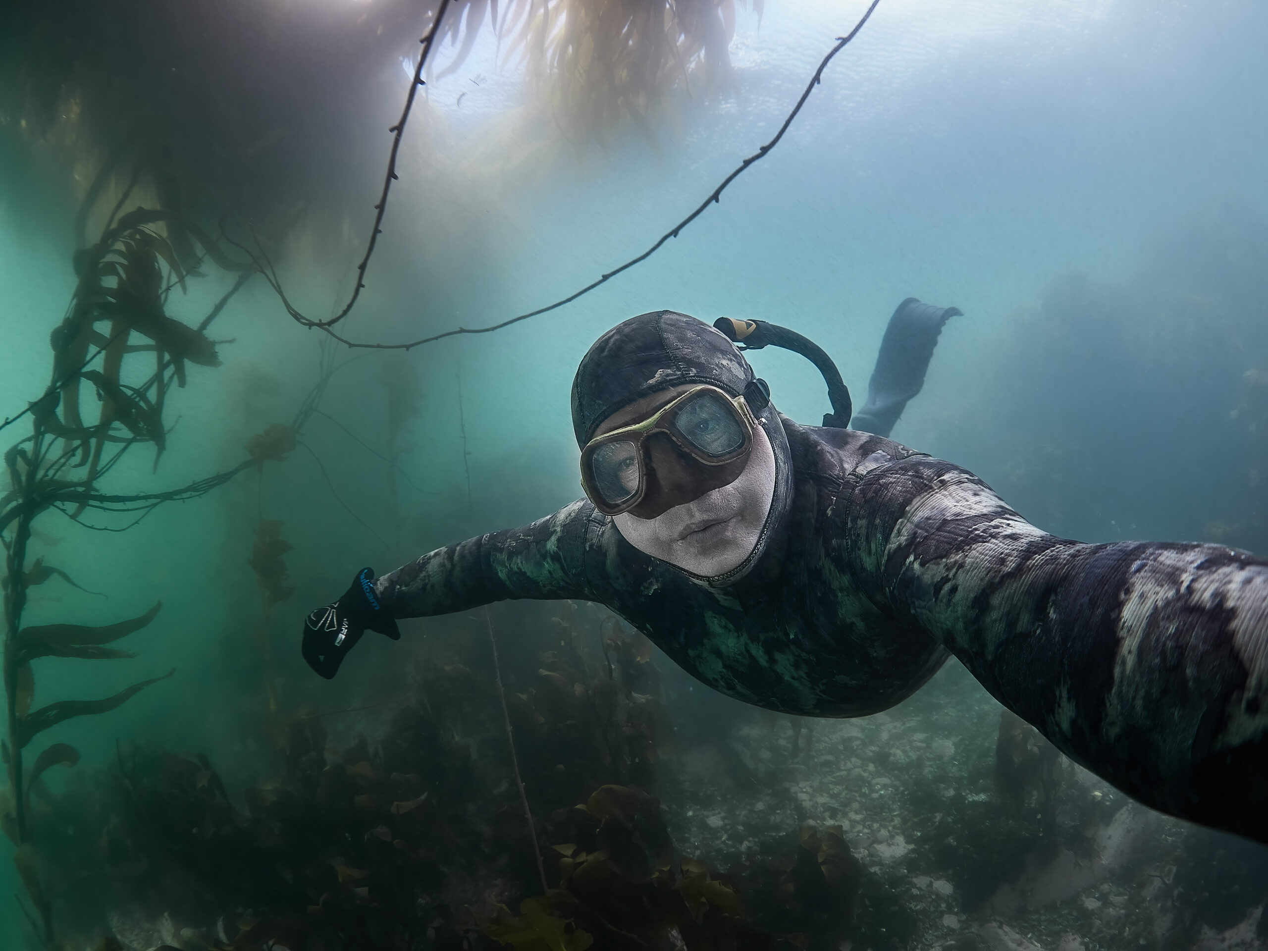 beagle channel ushuaia diving freediving kelp los lobos 