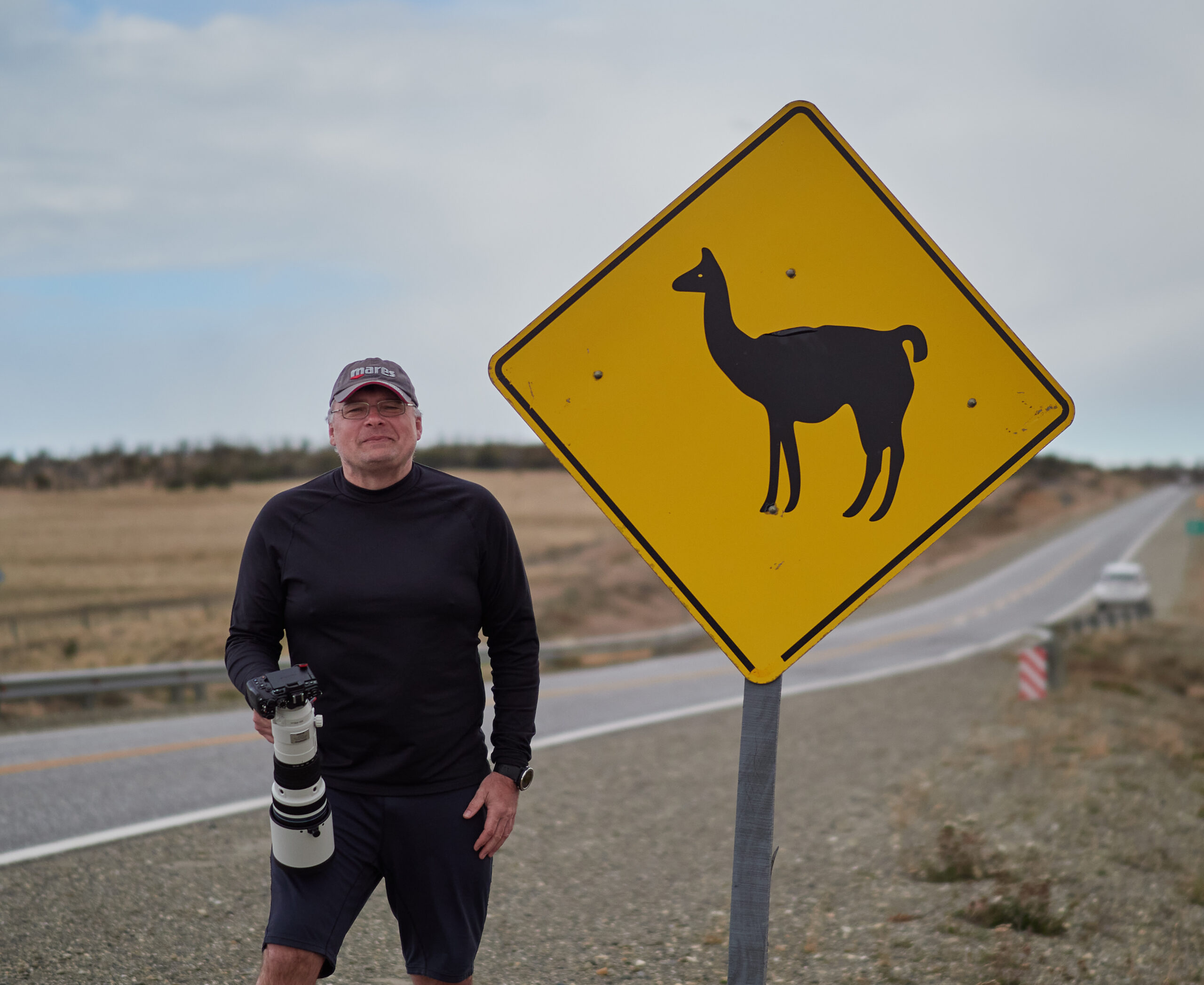 Tierra del Fuego wildlife