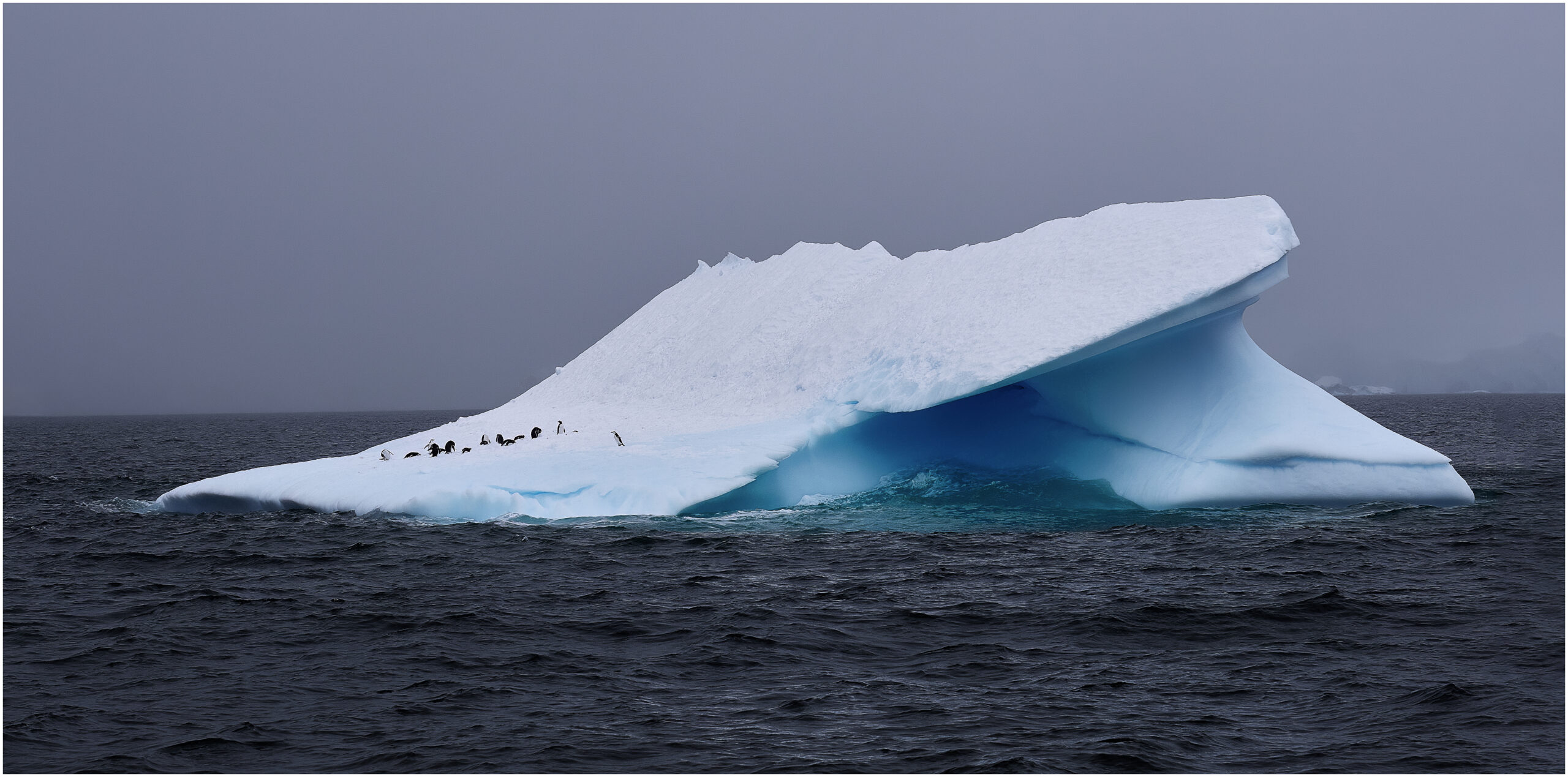 iceberg antarctica penguin freediving diving dive