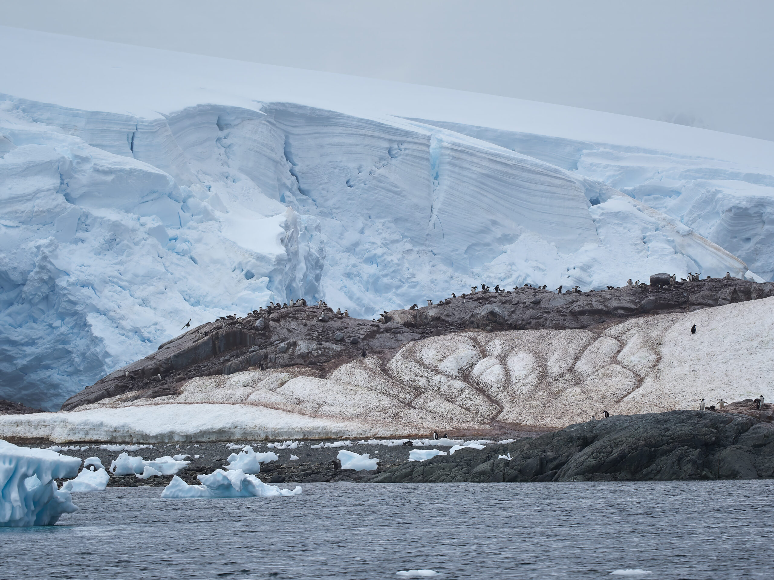 Paradise Bay Antarctica