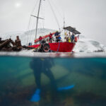 Wreck of the Governoren Guvernøren Antarctica Antarktida diving freediving Global Surveyor