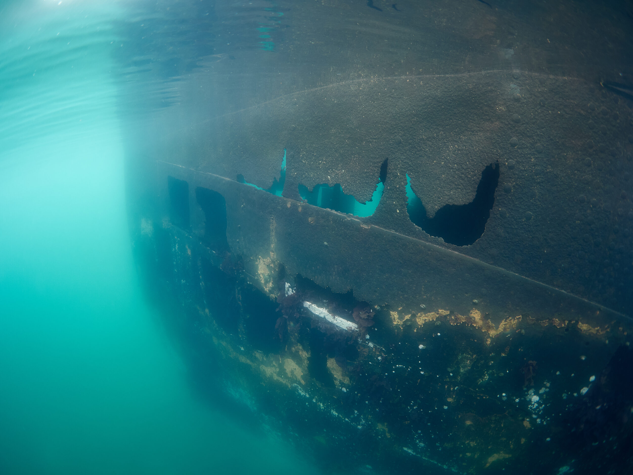 Wreck of the Governoren Guvernøren Antarctica Antarktida diving freediving Global Surveyor