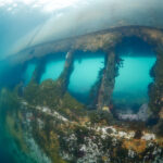 Wreck of the Governoren Guvernøren Antarctica Antarktida diving freediving Global Surveyor