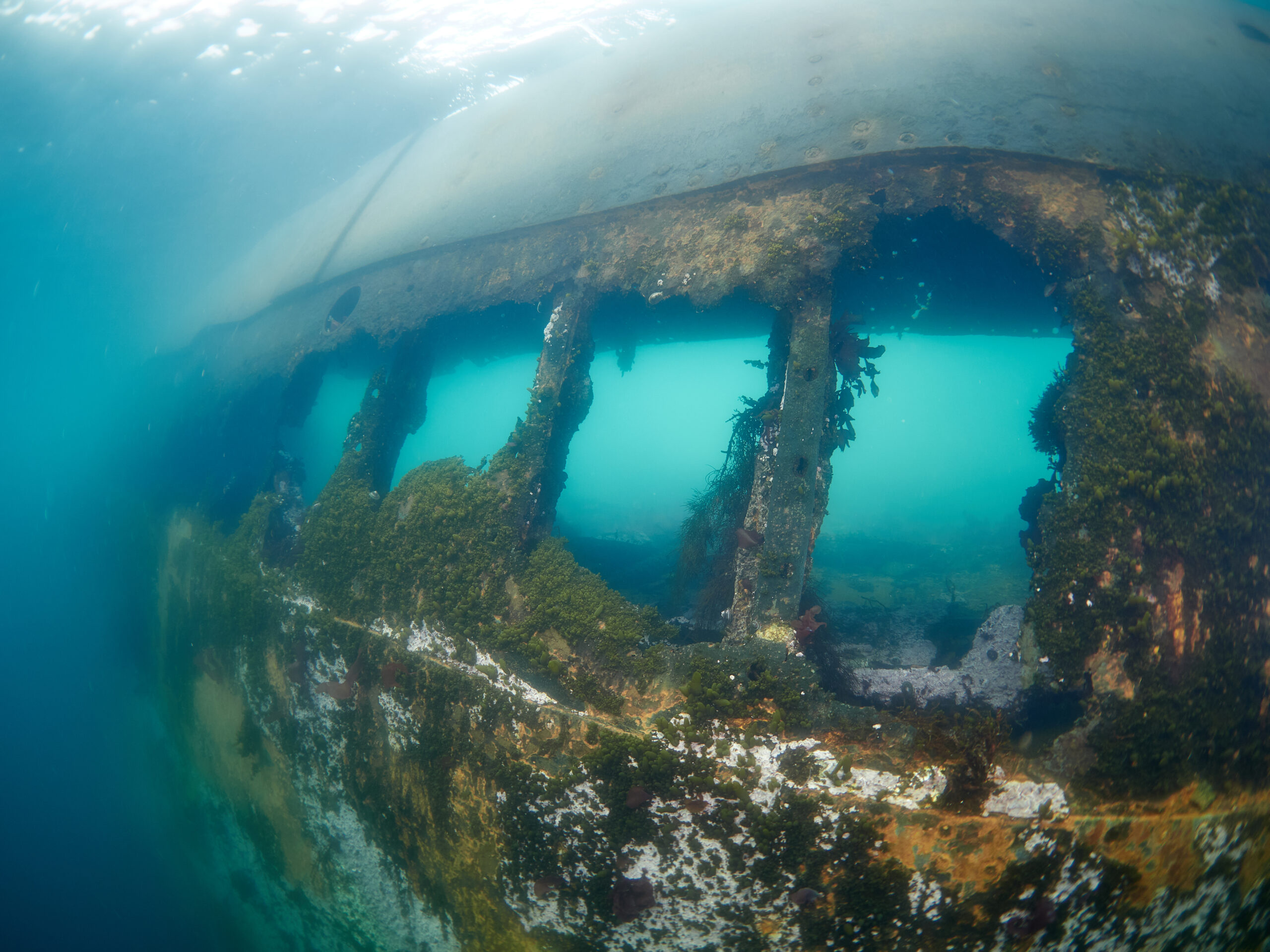 Wreck of the Governoren Guvernøren Antarctica Antarktida diving freediving Global Surveyor