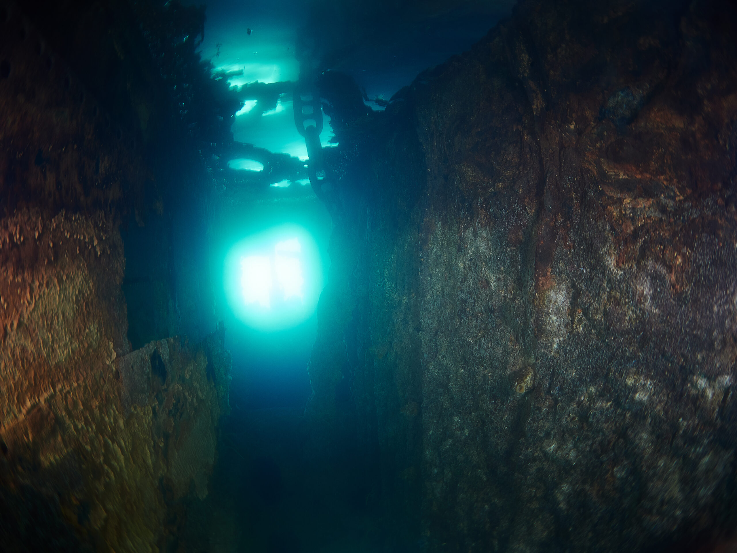 Wreck of the Governoren Guvernøren Antarctica Antarktida diving freediving Global Surveyor