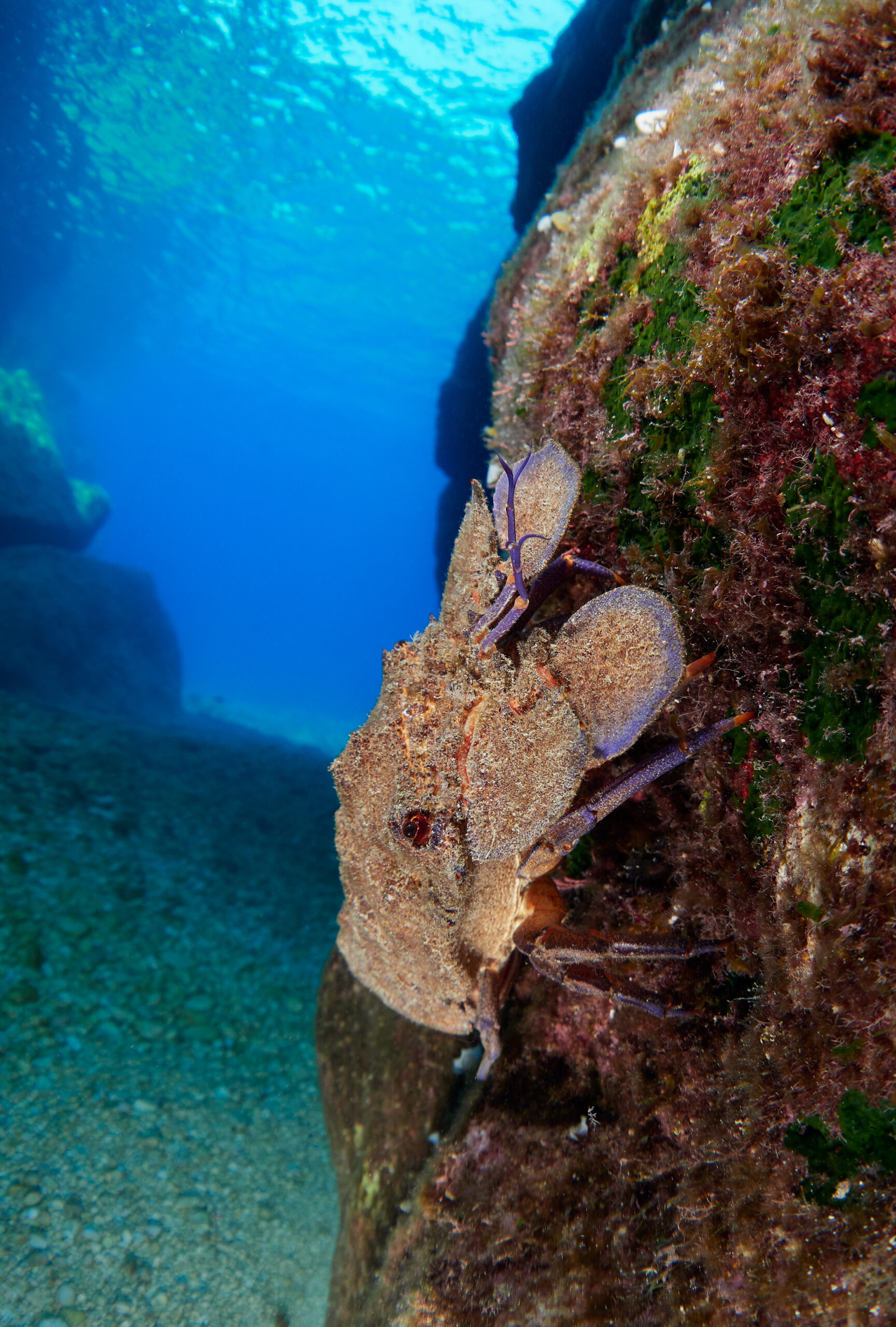Freediving Yacht Greece Ionian sea diving underwater jónské moře pod hladinou 