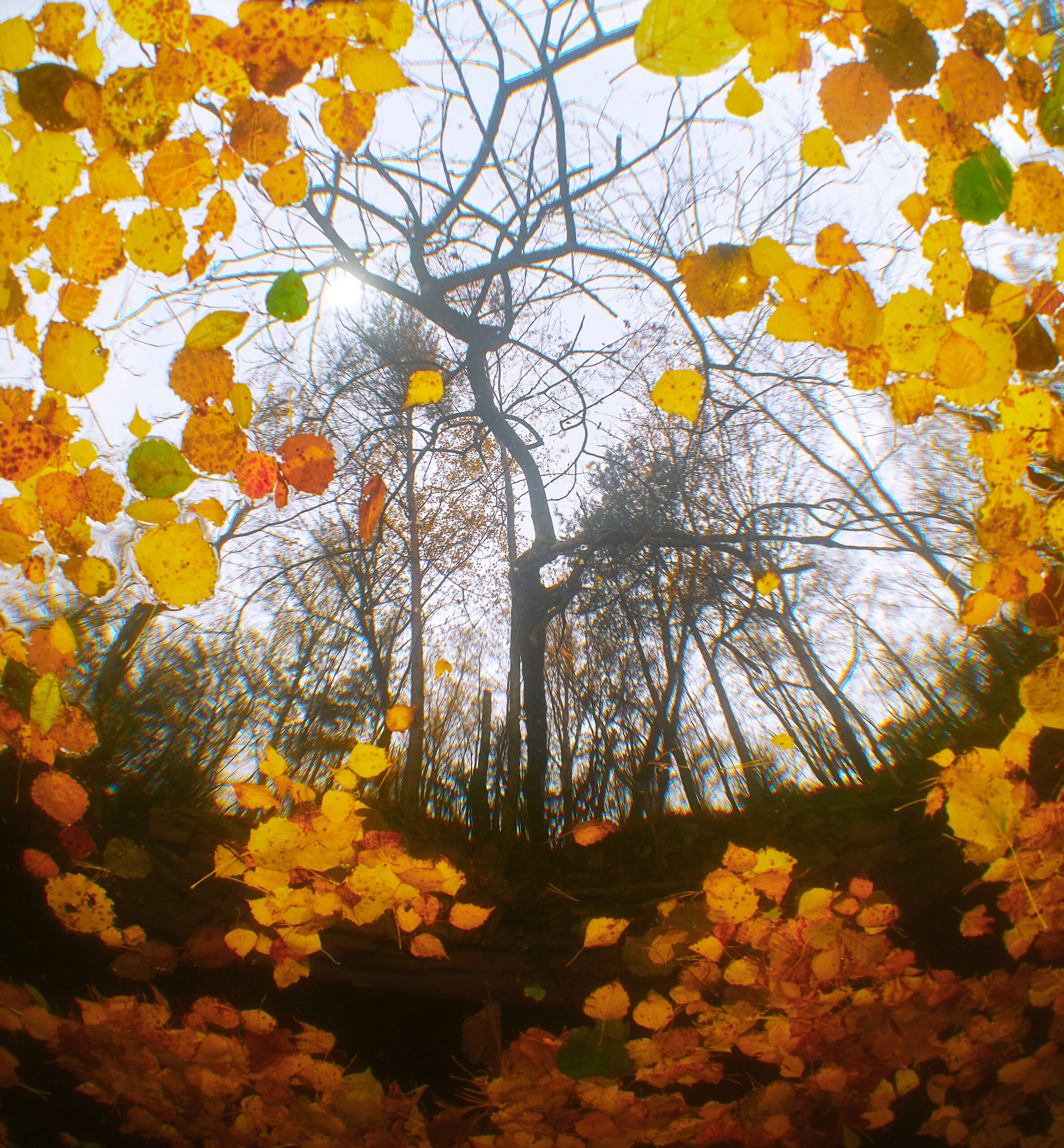 Diving divepark Leštinka freediving underwater